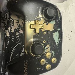 Nintendo Switch Controller 