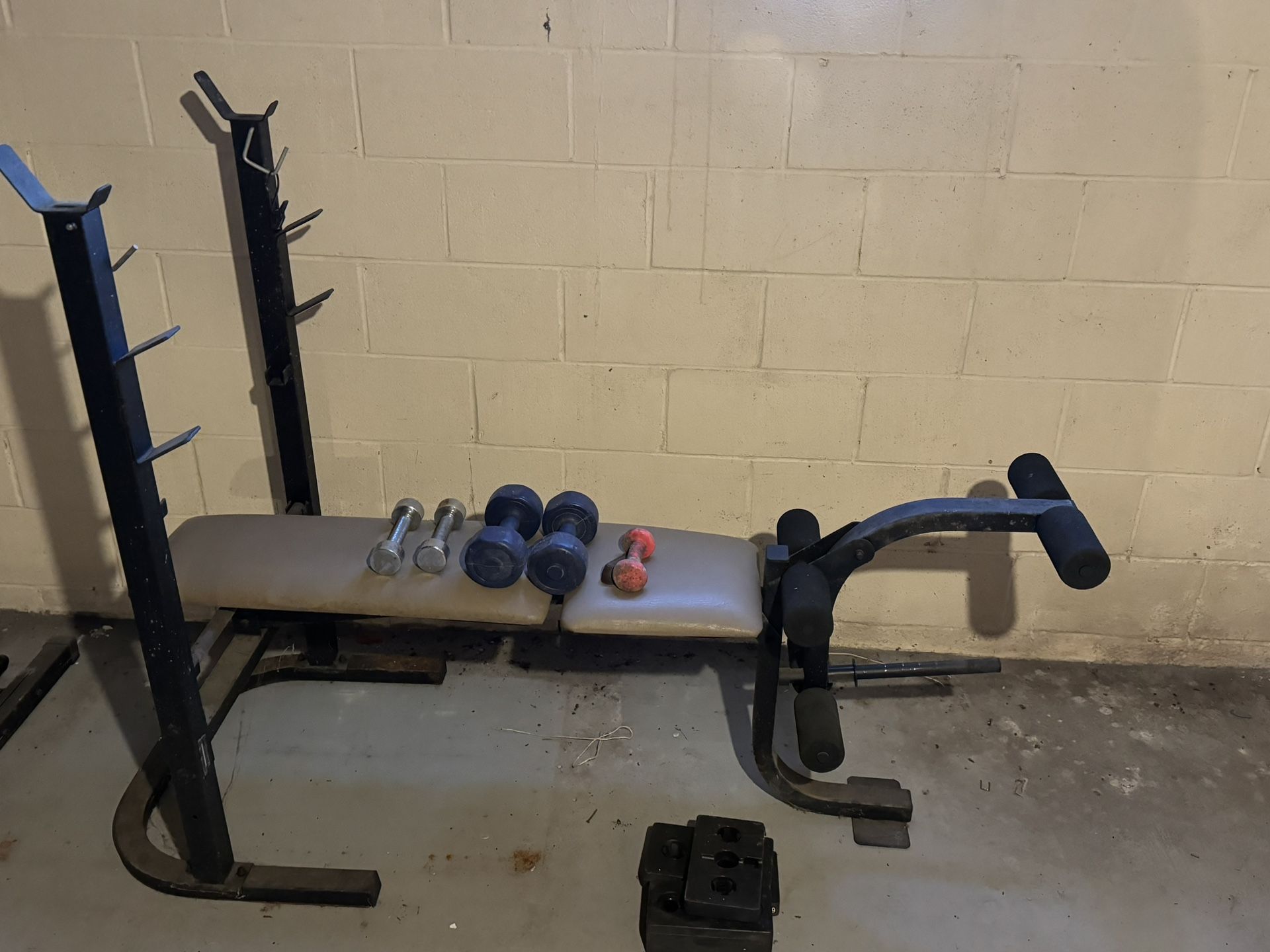 bench press $20