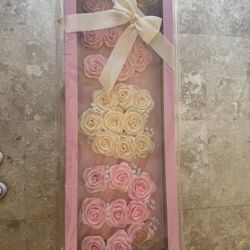 Eternal Roses 