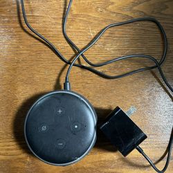 Alexa And Google Home Speaker