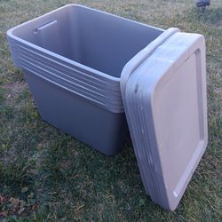(7) Sterilite Storage Bins 