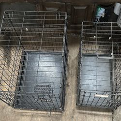 Dog Kennels 