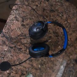 Turtel Beach Headphones