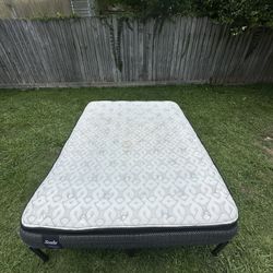 Queen Size Sealy Mattress