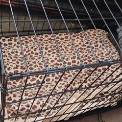Dog Crate!