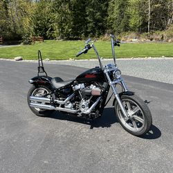 2023 softail standard