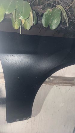 Fender