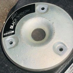 Peavey Black Widow and Scorpion Speaker Magnet