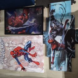 Spider Man Wall Art Frames