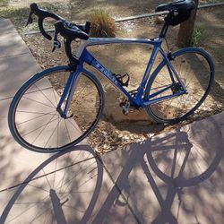 Trek Carbon Fiber Road Bike Super Clean