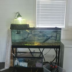 55 Gallon Tank