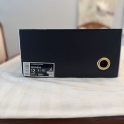 Air Jordan 11 “Gratitude”