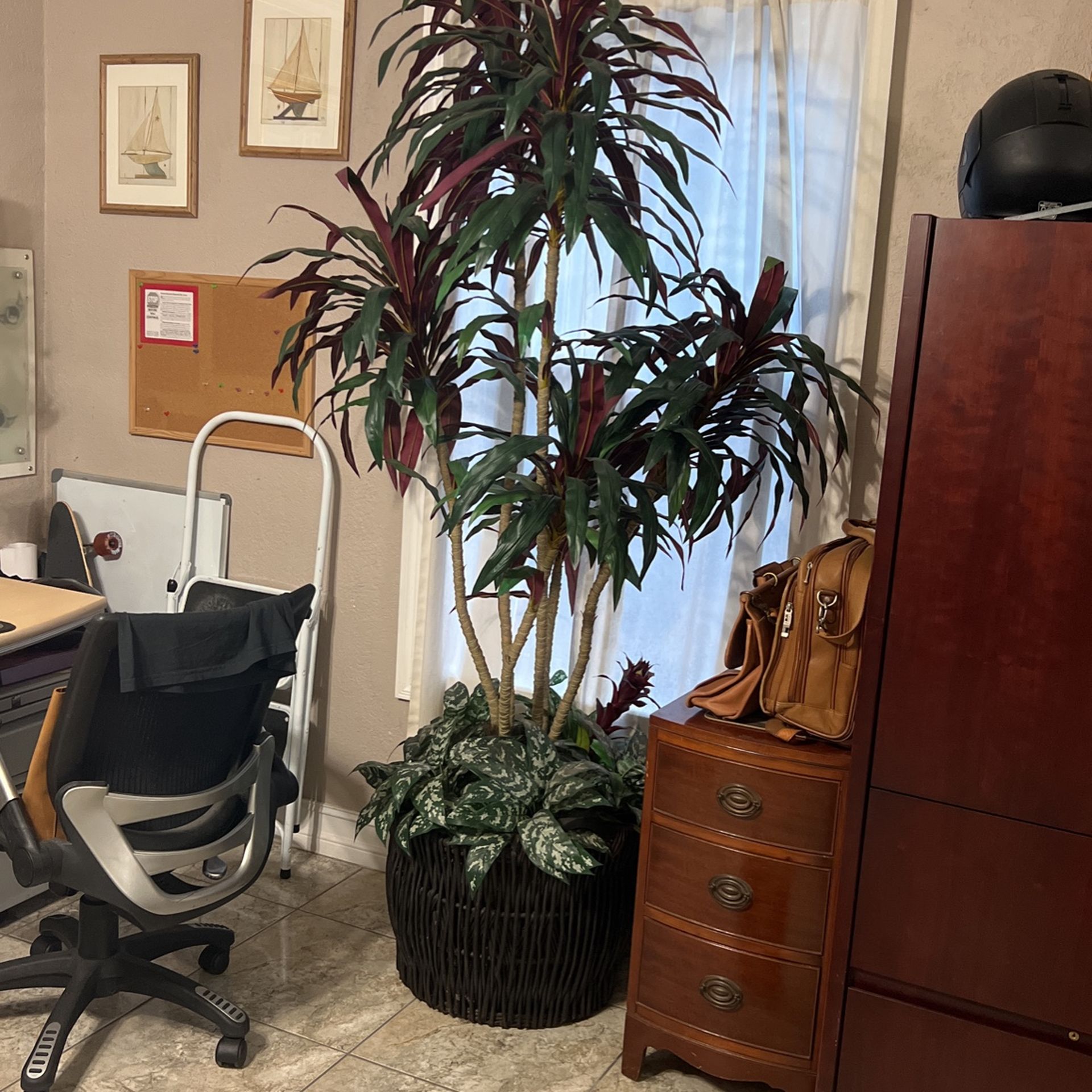 Silk Plant for Sale in Fort Lauderdale, FL OfferUp