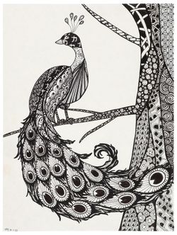 Peacock Zentangle