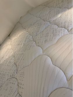 Brand new twin bed and box spring
