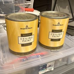 Benjamin Moore Ceiling Paint