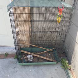 Bird Cage