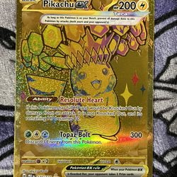 Prismatic Pikachu Pokemon 