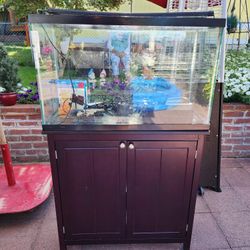 29 Gallon Tank