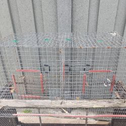 Quail Hutch
