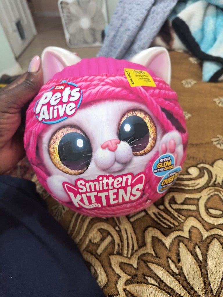 Pets Alive, Smitten Kittens