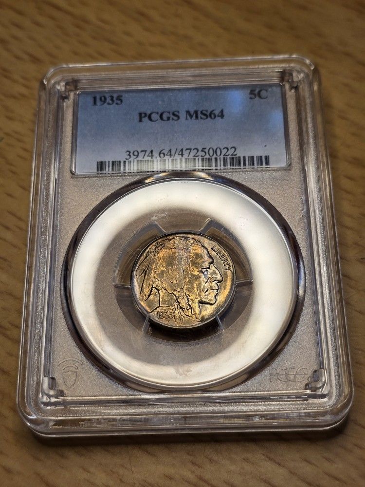 Toned Buffalo Nickel