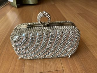 Fancy clutch purse