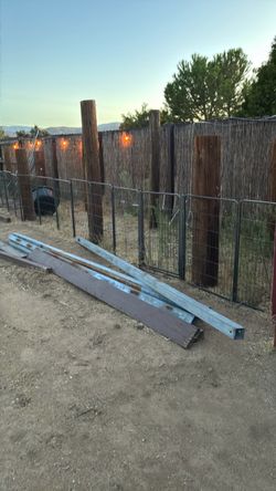 Dog gate