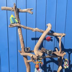 Macaw / Cockatoo Perch Tree.., Thick Ribbon Wood 🪵 Very Durable , Lasts For Years !! Gnarly Macaw Fun !!💯