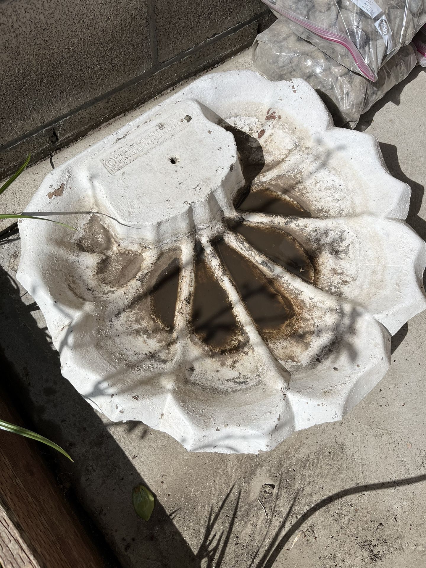 Pool shell number 2