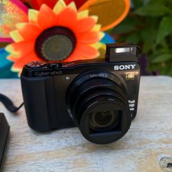 Sony Cybershot DSC-HX30V Digital Camera
