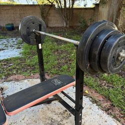 Weight Beach And Weights And Bar 