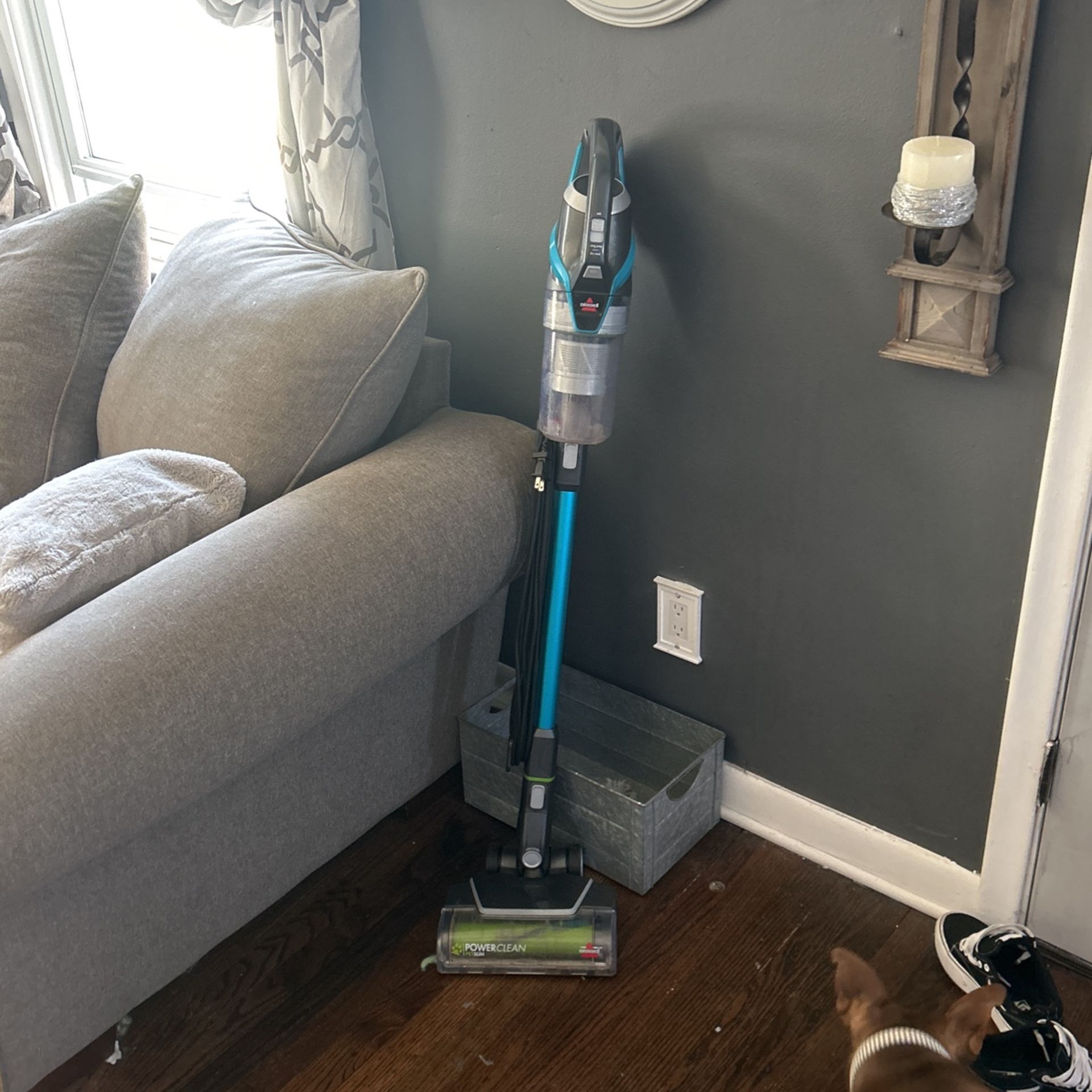 Bissell Pet Powerclean Sweeper 