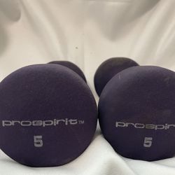 Two 5 Pound Weights