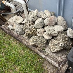 Local Coral Rock For Fish Tanks Or Yard Decor. 
