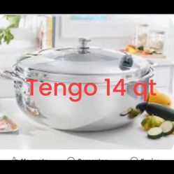 14 Qt Vida Sana Caserola Princess House 