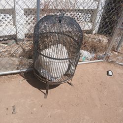 Bird Cage 