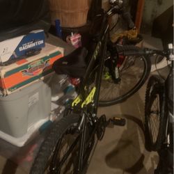 Mountain Bike