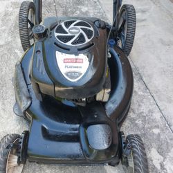 Law Mower