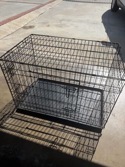 Vibrant Life 36” Two-Door Dog Crate for Sale