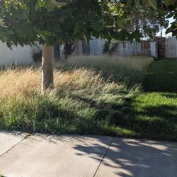 Lawn Mower And Edging Cleanup Maintenance Sprinkler Repair