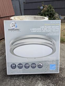 Energetic Lighting 14" LED Flush Mount Ceiling Light