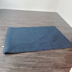 Rug for $10