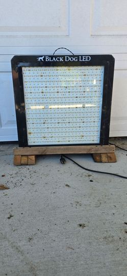 Grow light