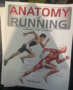 Anatomy Of Running