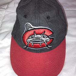 Carolina Mudcats Minor League Baseball Team Hat Cap Youth Size Adjustable