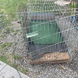 Dog Kennel