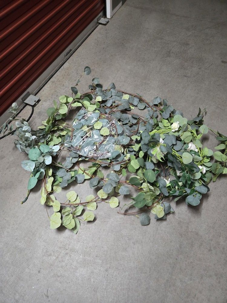 Greenery for Sale in Valley Center, CA OfferUp