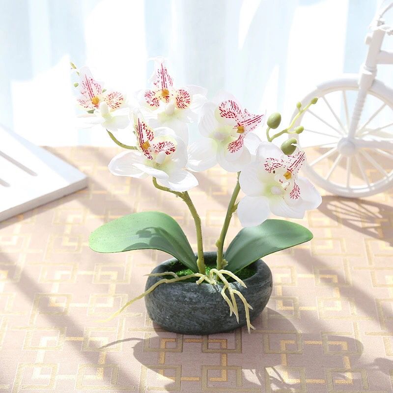 New Butterfly Orchids Artificial Flower Bonsai Silk Flower in Pots for Wedding Home Garden Decoration Fake Flower with Vases