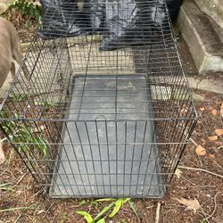 Dog Kennel 